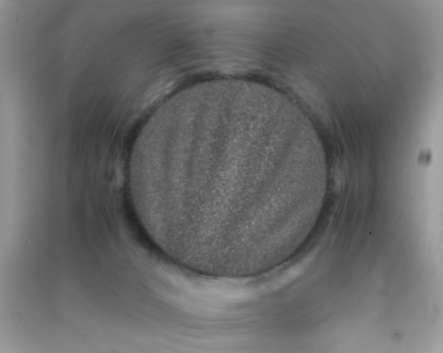 X0000090990032200708161926