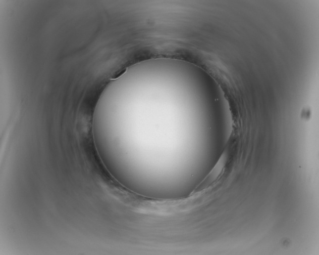 X0000090990033200708161926