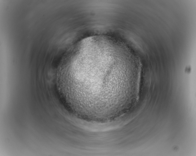 X0000090990034200708161926