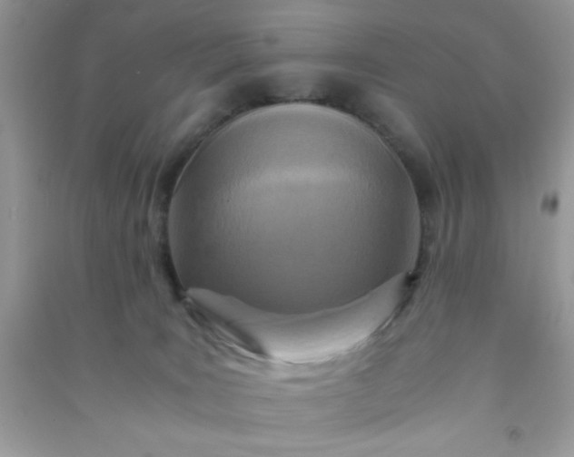 X0000090990035200708161926