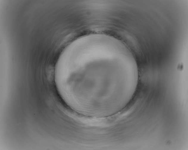 X0000090990036200708161926