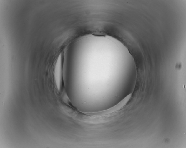 X0000090990037200708161926