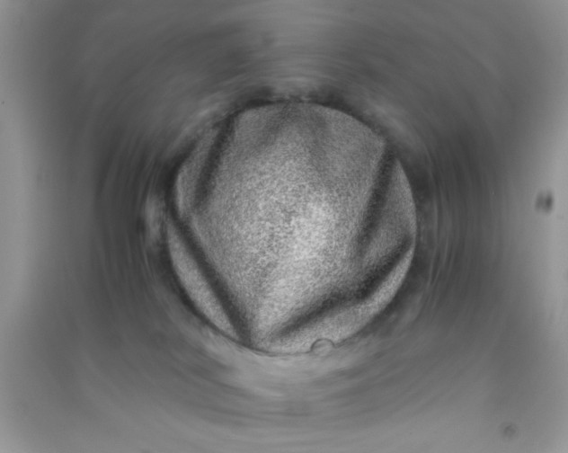 X0000090990038200708161926