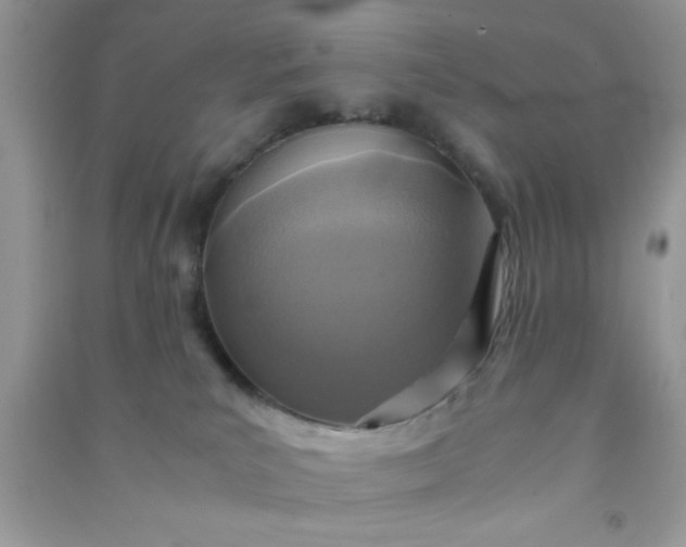 X0000090990039200708161926