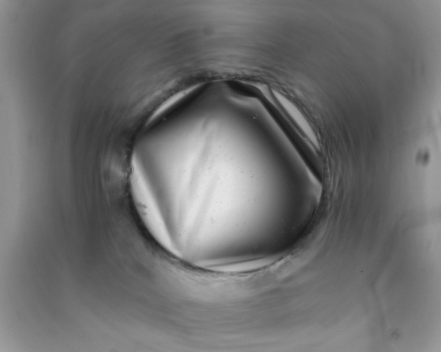 X0000090990040200708161926