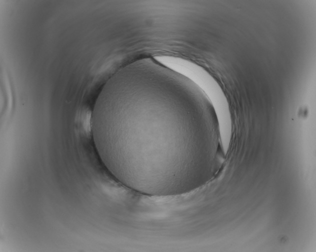 X0000090990041200708161926