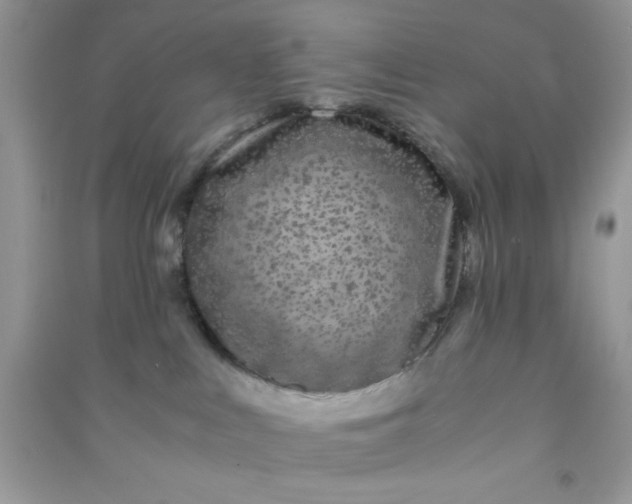 X0000090990043200708161926