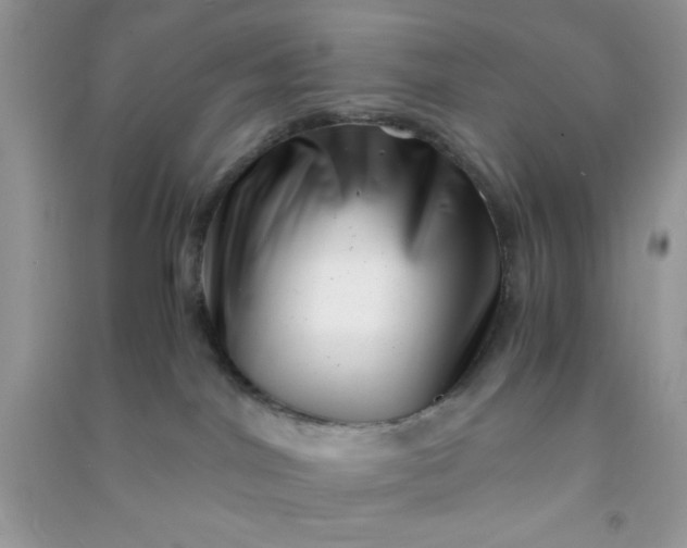 X0000090990044200708161926