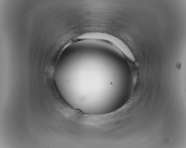 X0000090990045200708161926