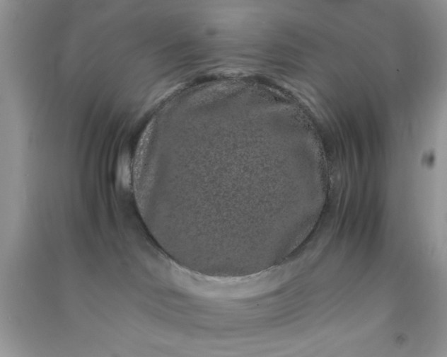 X0000090990046200708161926