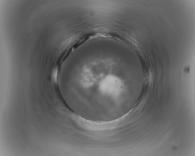 X0000090990047200708161926