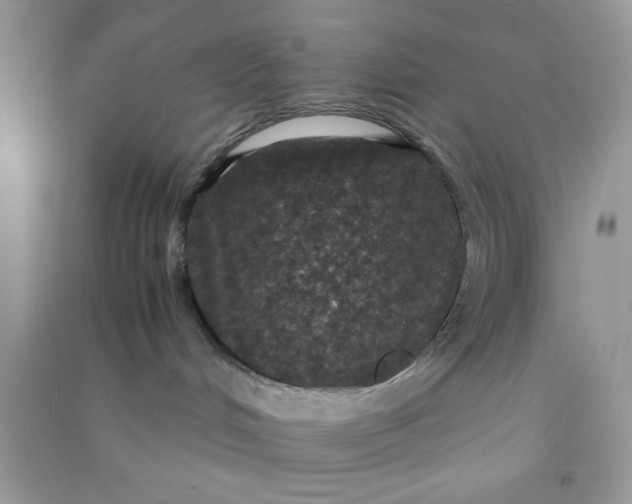 X0000090990048200708161926