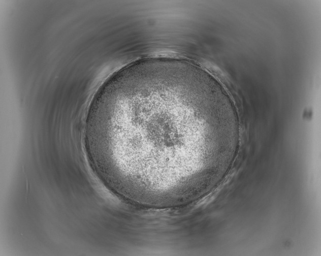 X0000090990049200708161925