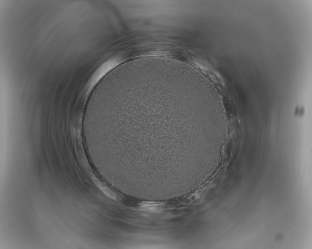 X0000090990051200708161925