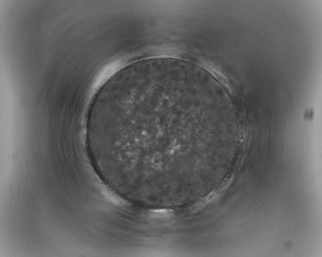 X0000090990053200708161925