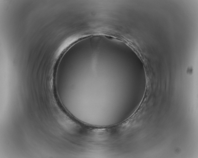 X0000090990054200708161925