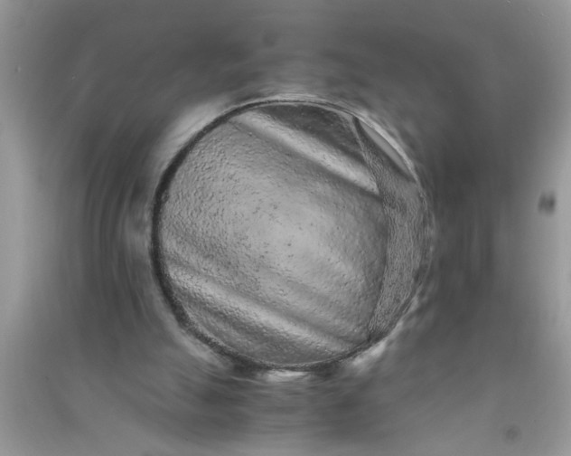 X0000090990055200708161926