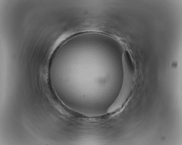 X0000090990056200708161926