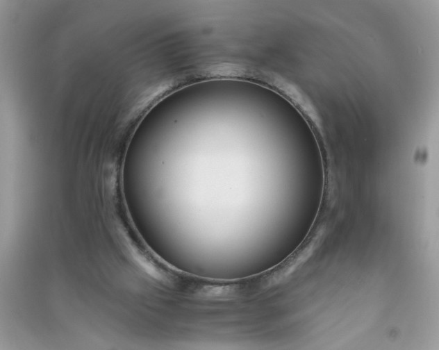 X0000090990057200708161926