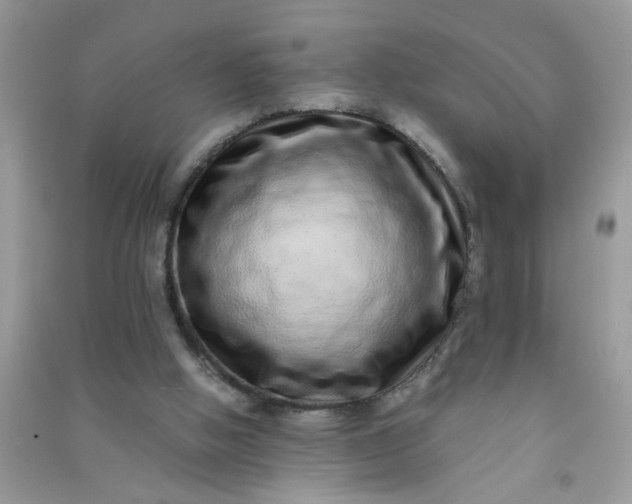 X0000090990058200708161926