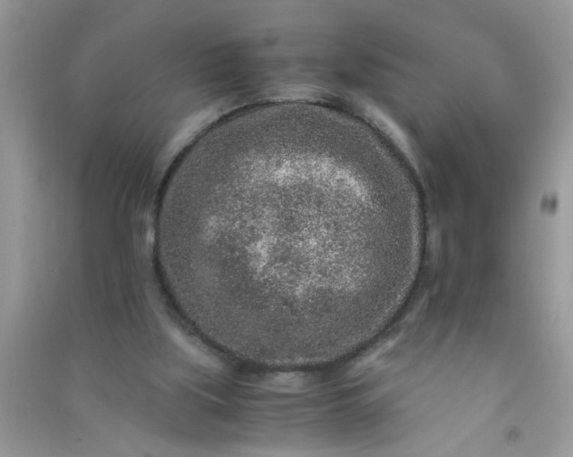 X0000090990059200708161926