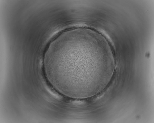 X0000090990063200708161926