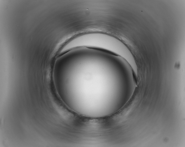 X0000090990064200708161926