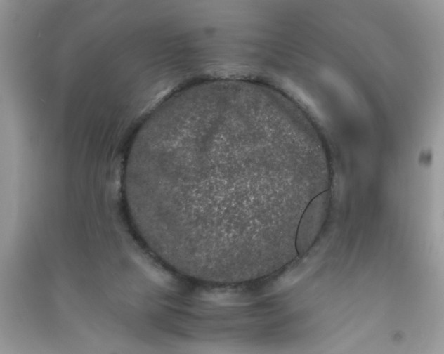 X0000090990065200708161926