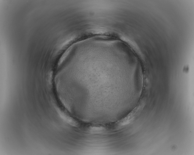 X0000090990066200708161926