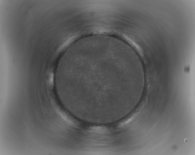 X0000090990067200708161926