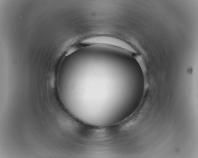 X0000090990068200708161926