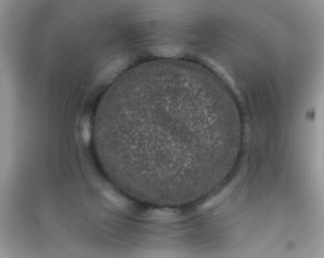 X0000090990069200708161926