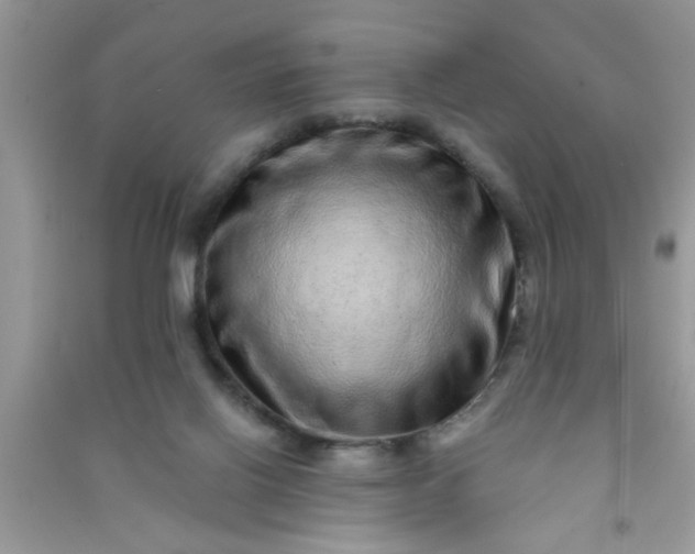 X0000090990070200708161926