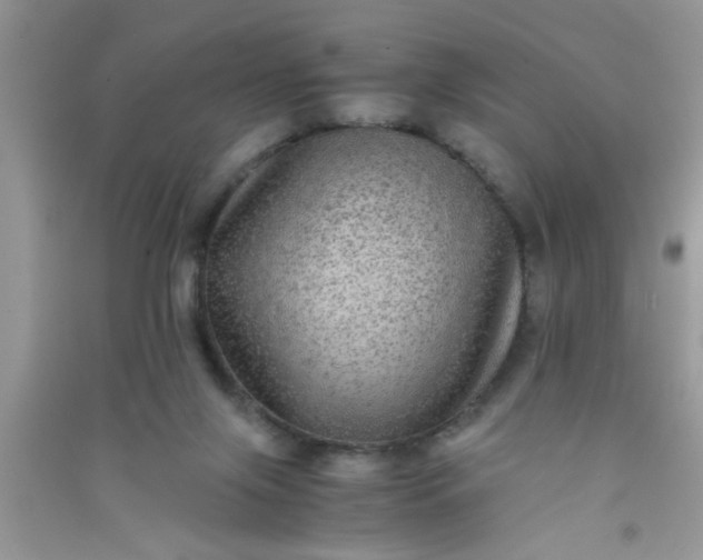 X0000090990071200708161926