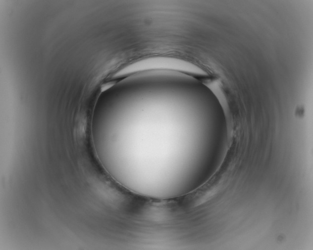 X0000090990072200708161926