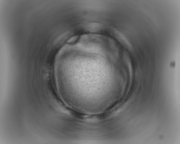 X0000090990073200708161926