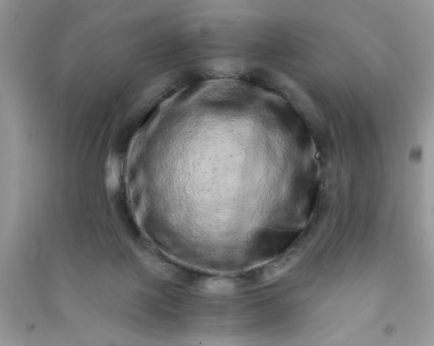 X0000090990075200708161926