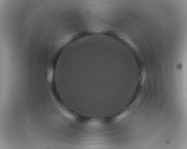 X0000090990076200708161926