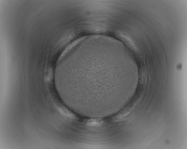 X0000090990077200708161926