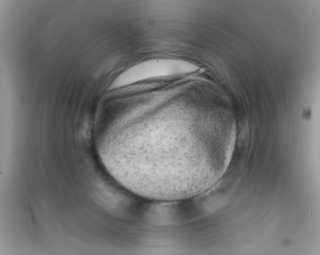 X0000090990078200708161926