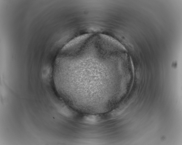 X0000090990079200708161926