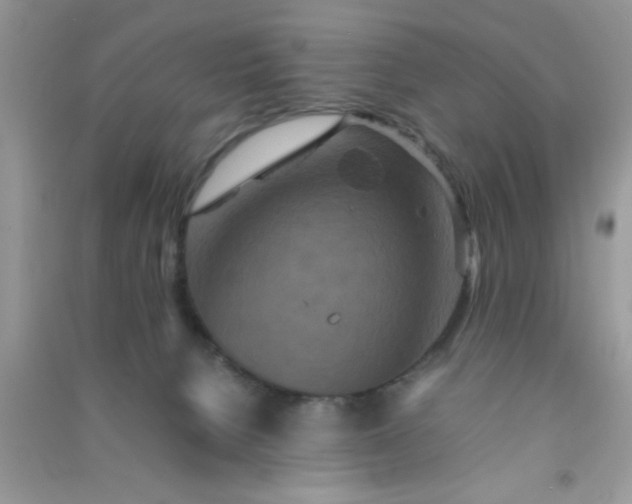 X0000090990080200708161926