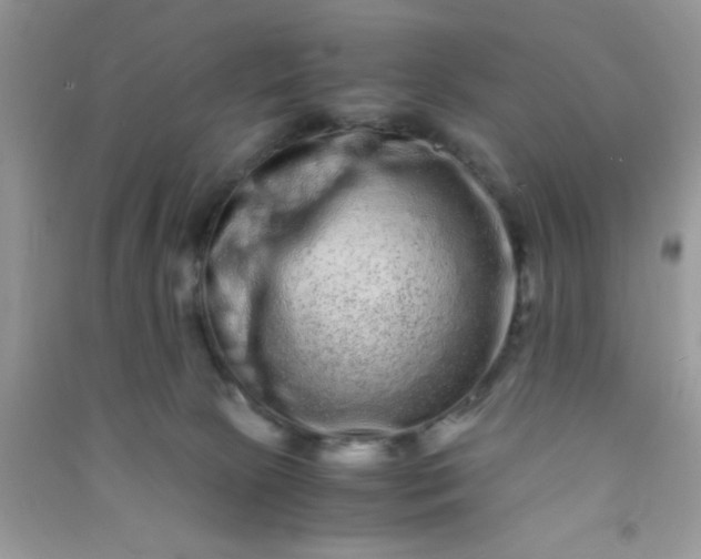 X0000090990081200708161926