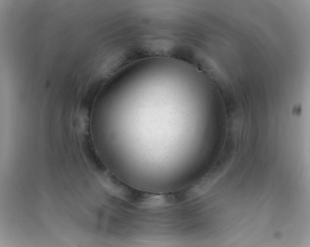 X0000090990083200708161926