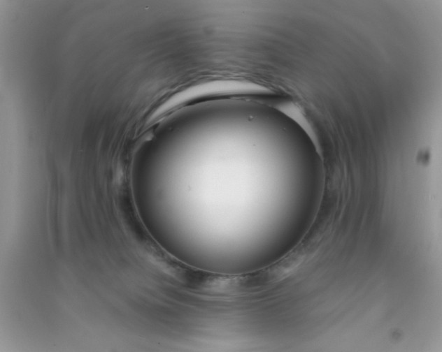 X0000090990084200708161926