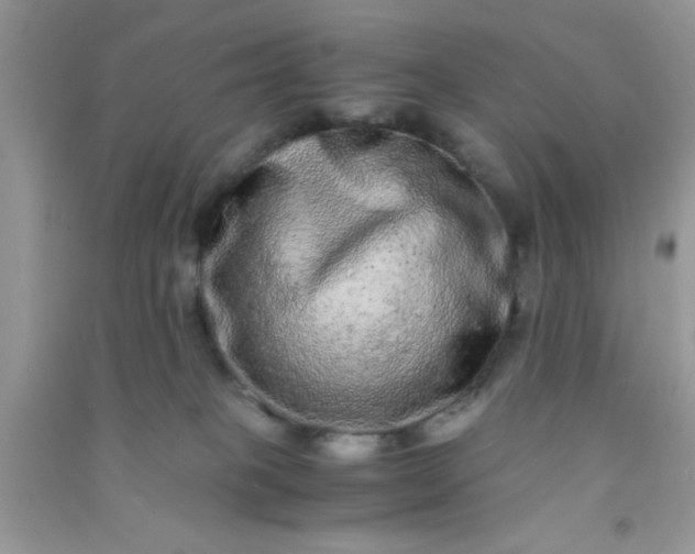 X0000090990085200708161926