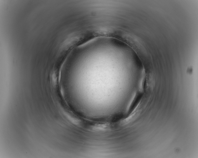 X0000090990086200708161926