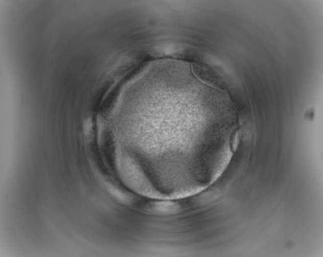 X0000090990087200708161926