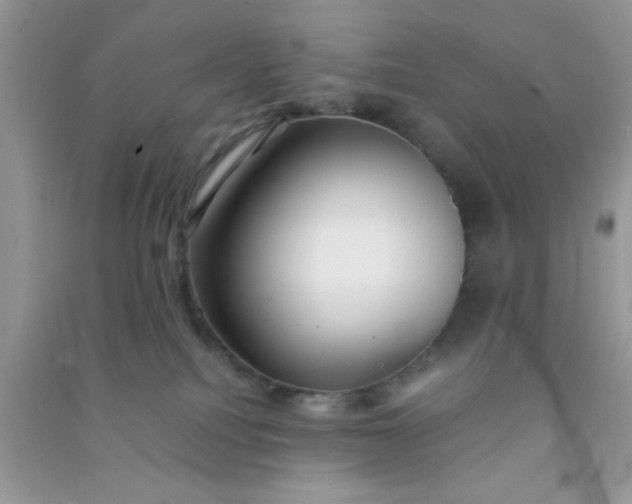 X0000090990088200708161926