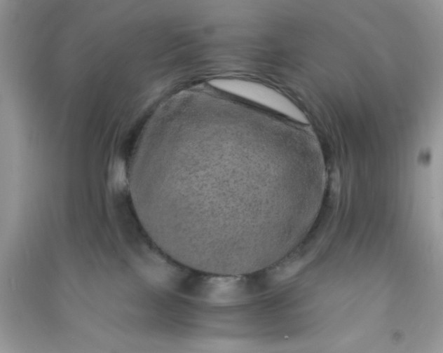 X0000090990089200708161926